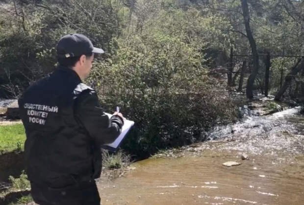 Задержан возможный виновный в массовом отравлении в российском регионе