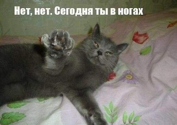 Самые смешные свежие картинки с надписями (четверг)