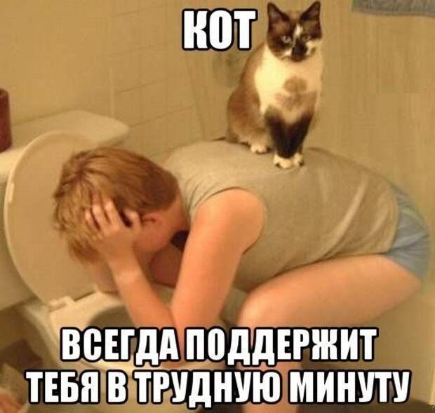 Картинки со смешными подписями