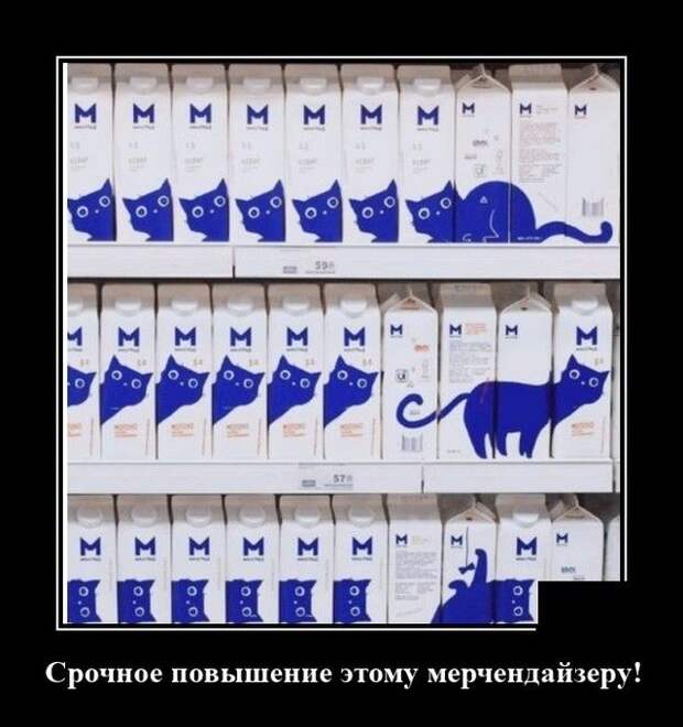 demotivatory-demotivator-smeshnye-demotivatory-demotivator-so-smyslom