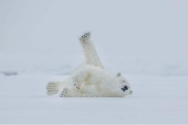 natgeo18 Лучшие фотографии National Geographic за сентябрь