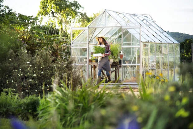 Как защитить рассаду от заморозков: бутылки с водой вместо обогревателя