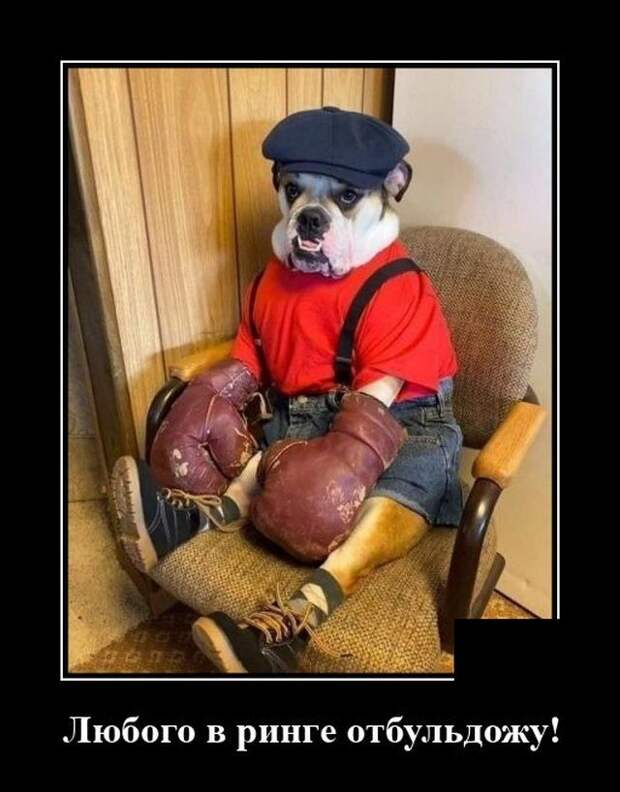 demotivatory-demotivator-smeshnye-demotivatory-demotivator-so-smyslom