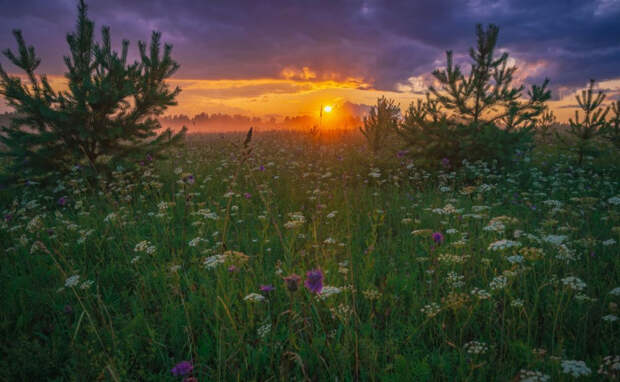 1000005138.jpg 1000005138.jpg