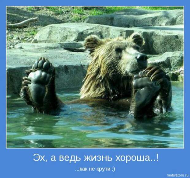 Позитивные фразы на каждый день
