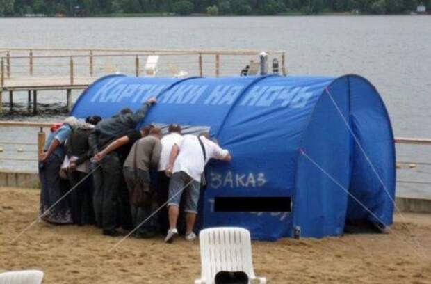 Прикольные картинки (92 фото)