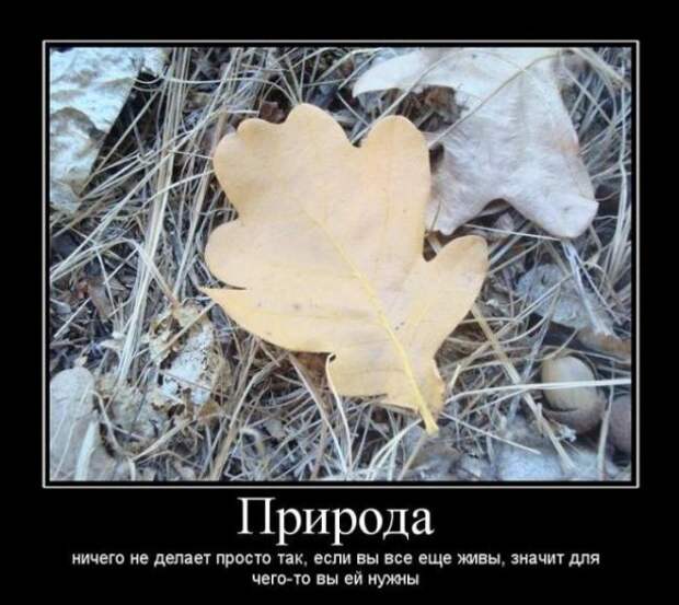Демотиваторы со смыслом свежачок (16 фото)