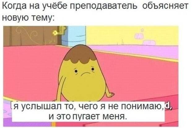 Прикольные картинки (104 фото)