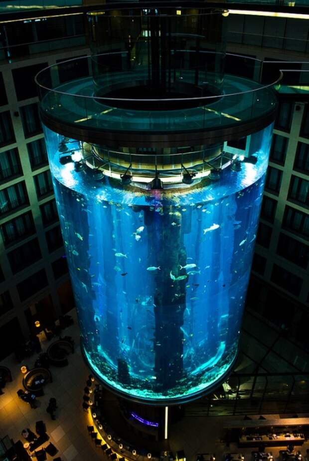 Отель Radisson Blu в Берлине. Гигантский аквариум. Фото