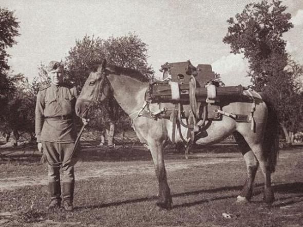 Моменты Великой Отечественной Войны война, история, фото