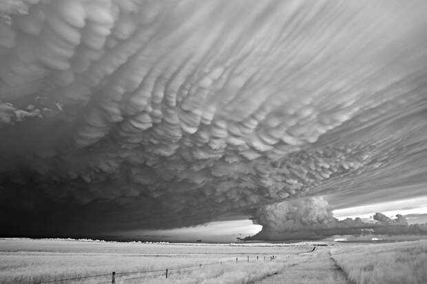 Невероятные снимки с фотоконкурса Sony World Photography Awards 2018 8