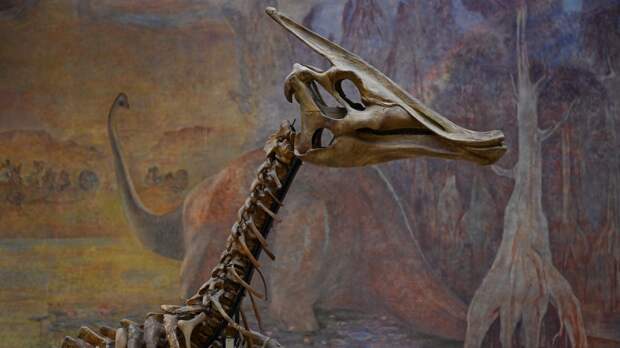 Фастфуд для динозавров: неожиданное открытие ученых