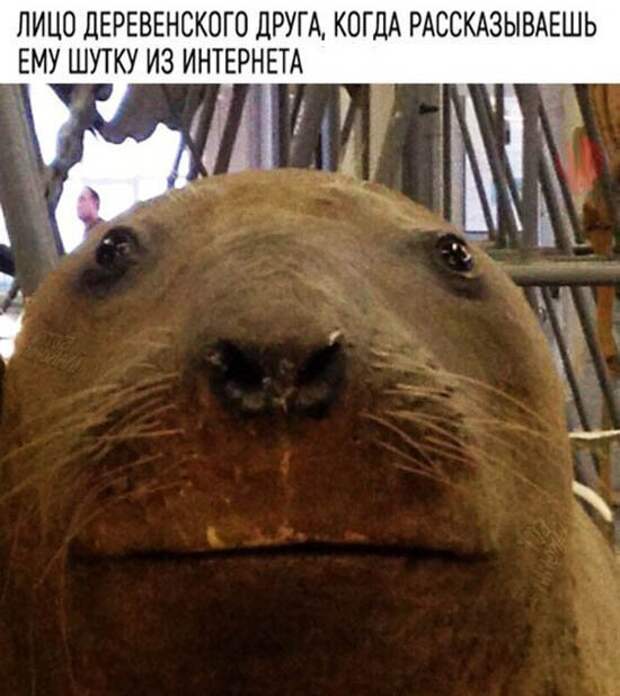5-4.jpg