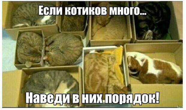 Свежие картинки с надписями данного понедельника