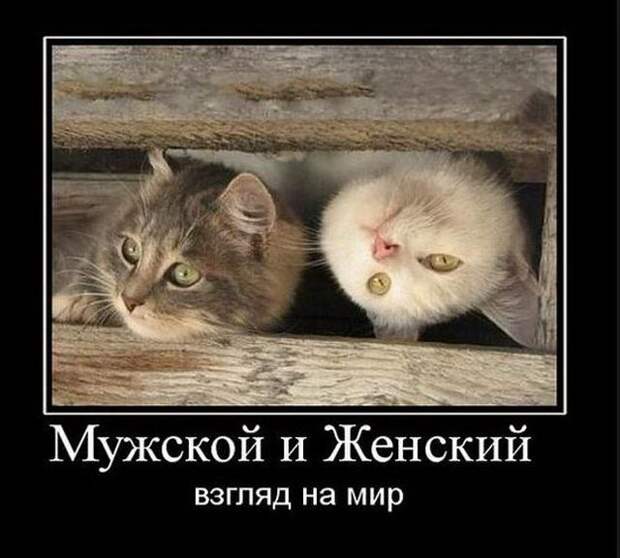 Демотиваторы (30 фото)
