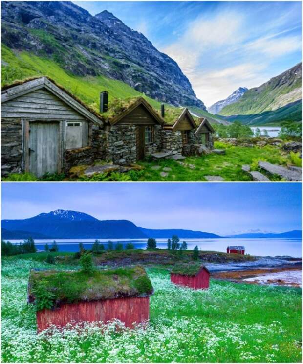 Деревянные срубы на норвежских фьордах. | Фото: pandaznaet.ru.