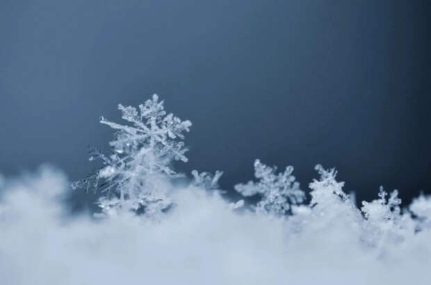 Климатолог Терешонок рассказал, когда растает снег в Москве