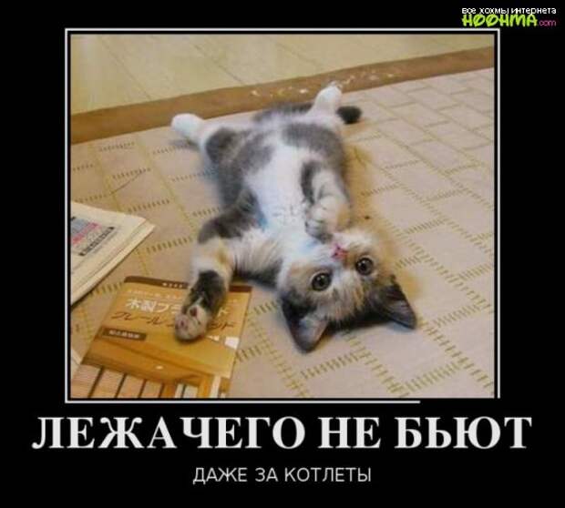 Веселые демотиваторы