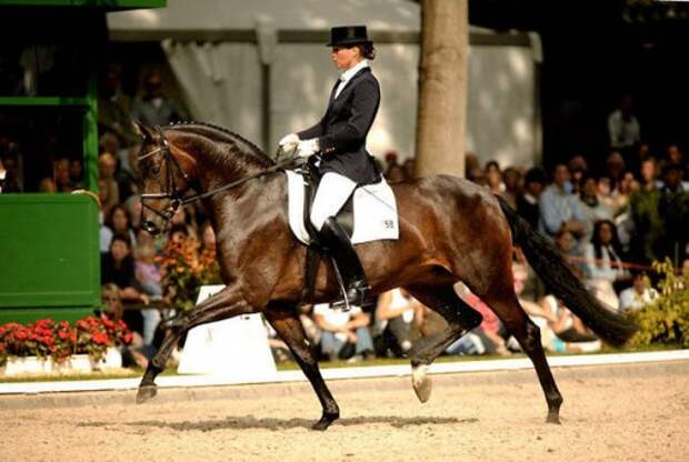 Horse_Poetin-_2big