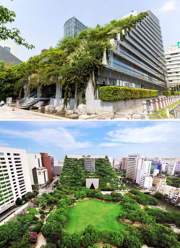 amazing-modern-japanese-architecture-19-57e25672d363f__880