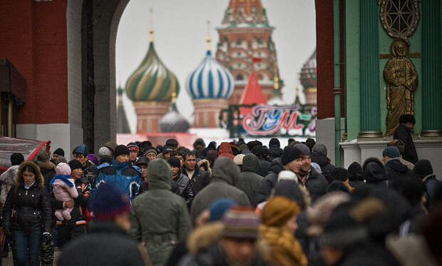 Военкор Стешин: Суд отпустил мигрантов, напавших на депутата Госдумы – рассчитывая, что не заметят под Новый год