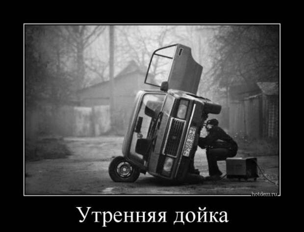 Демотиваторы на Бугаге (28 шт)