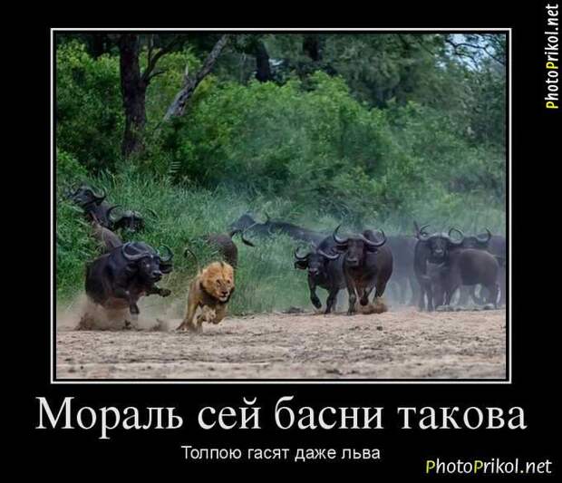Новые демотиваторы со смыслом (30 картинок)