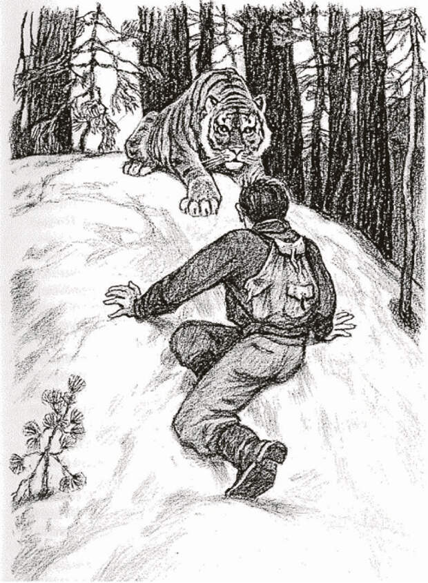 Примерно так выглядела та историческая встреча в тайге. Примерно так выглядела та историческая встреча в тайге.