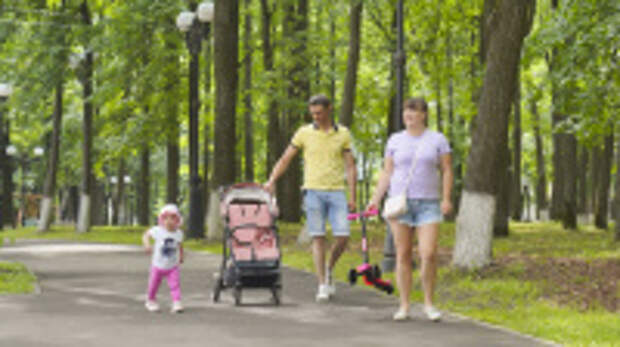 Северо-восточная часть городского парка в Шуе станет местом активного отдыха благодаря президентскому гранту