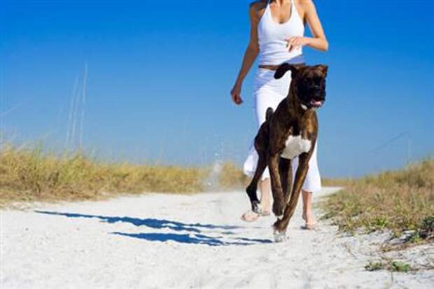 Pet Owner Mistakes