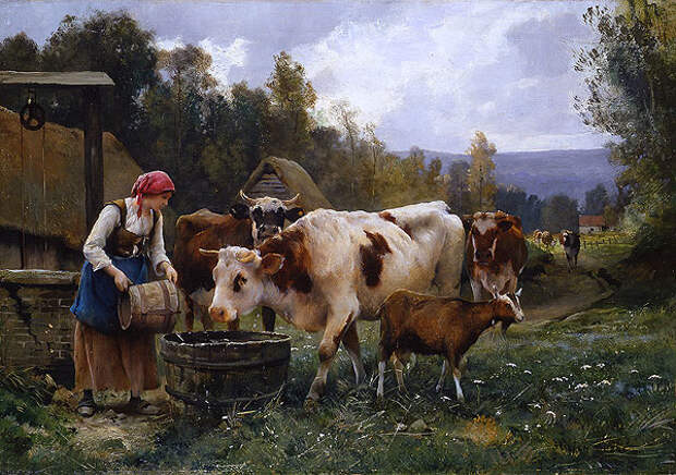 woman watered cows