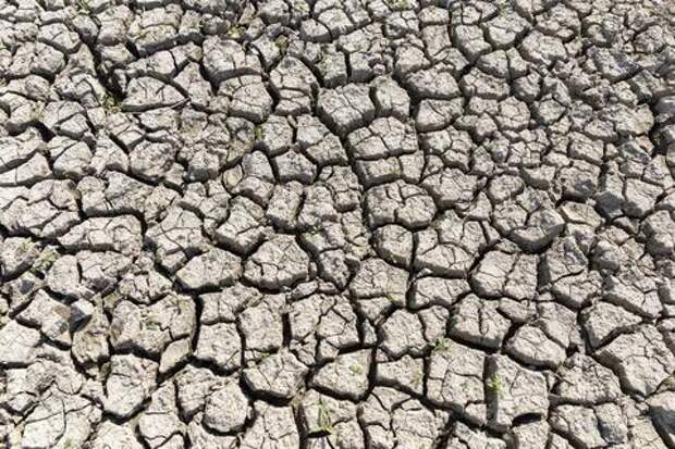 В Ростовской области запускают программу искусственных осадков. Для чего это необходимо?