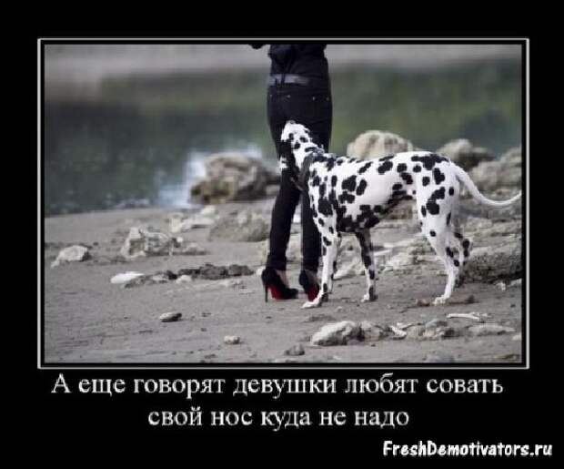 Демотиваторы про девушек Демотиваторы про девушек