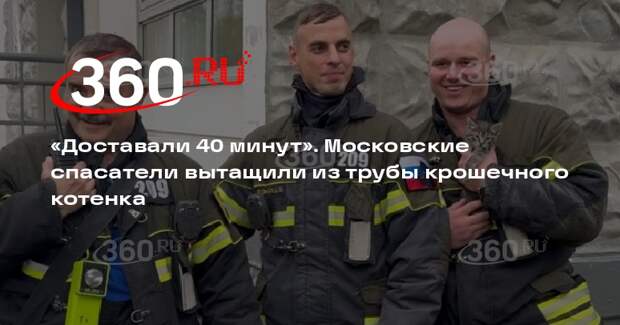 В Москве спасатели вытащили из трубы месячного котенка