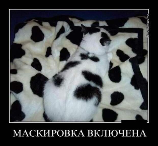 Демотиваторы,  разные но все прикольные.