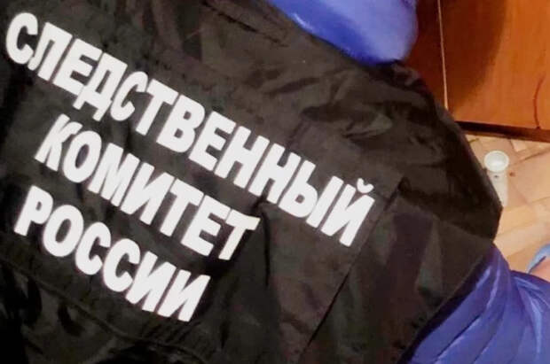 Следком начал проверку после избиения девушки в ТЦ Перми