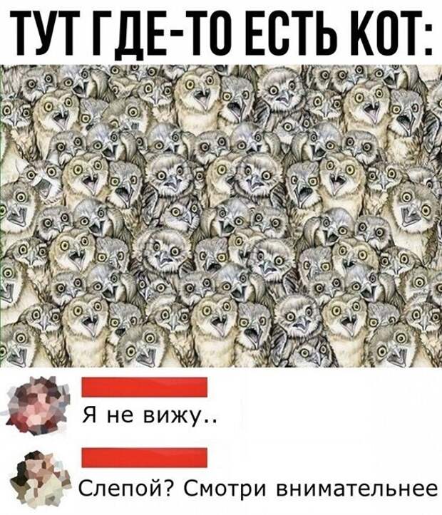 Смешные и познавательные картинки