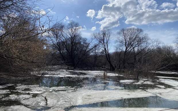 Ищите лодку: сильная оттепель 2 марта грозит Рязанской области потопом
