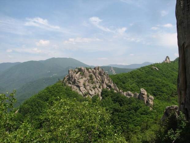 Парк Драконов вблизи села Чистоводное Лазовского района (Приморье). Фото