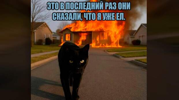 Самые смешные картинки с черным юмором за осень-зиму 2025 года