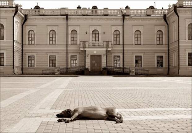 Улыбательные картинки, праздничное настроение.