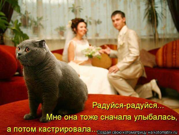 Котоматрица: Радуйся-радуйся... Мне она тоже сначала улыбалась, а потом кастрировала...