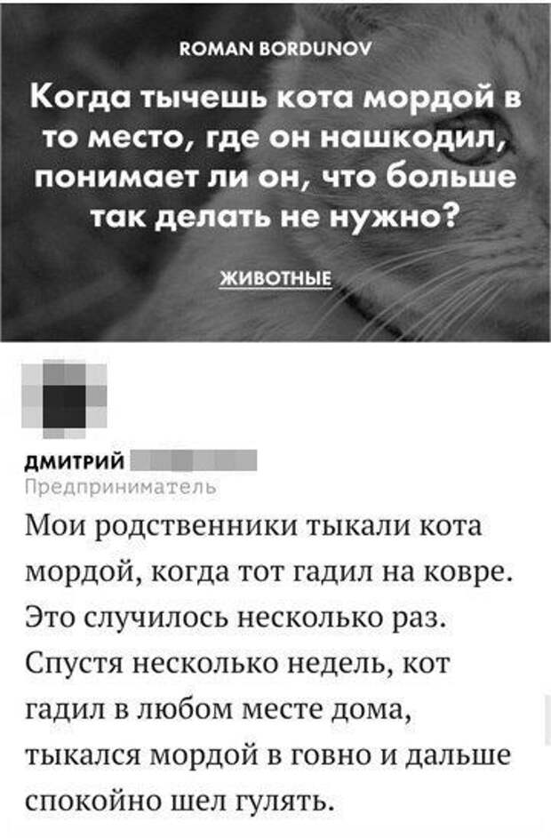 Юмор социальных сетей (26 скриншотов)