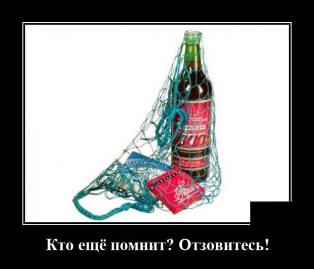 demotivatory-demotivator-smeshnye-demotivatory-demotivator-so-smyslom