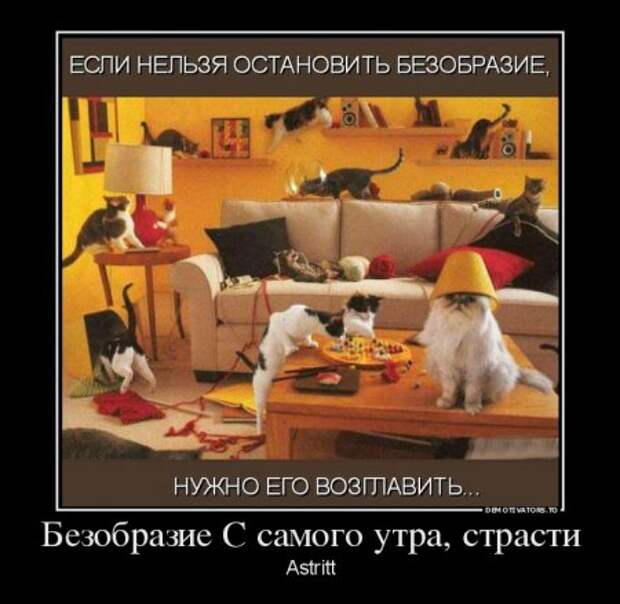 Демотиваторы они опять с нашими комментариями.