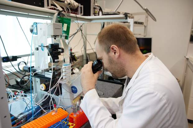 Эксперты предупредили о попытках иностранных компаний обмануть закон