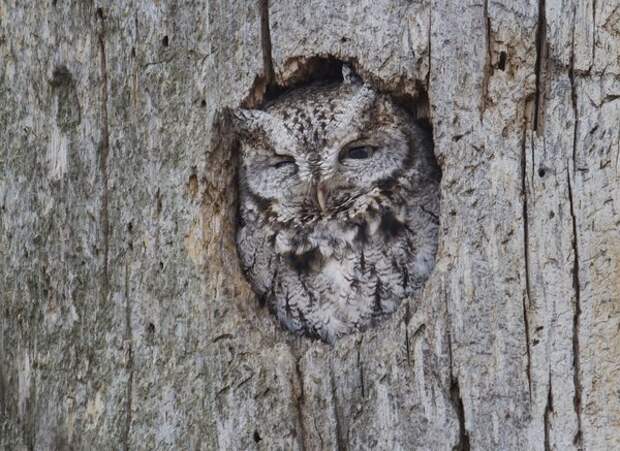 РазностИ РазностИ