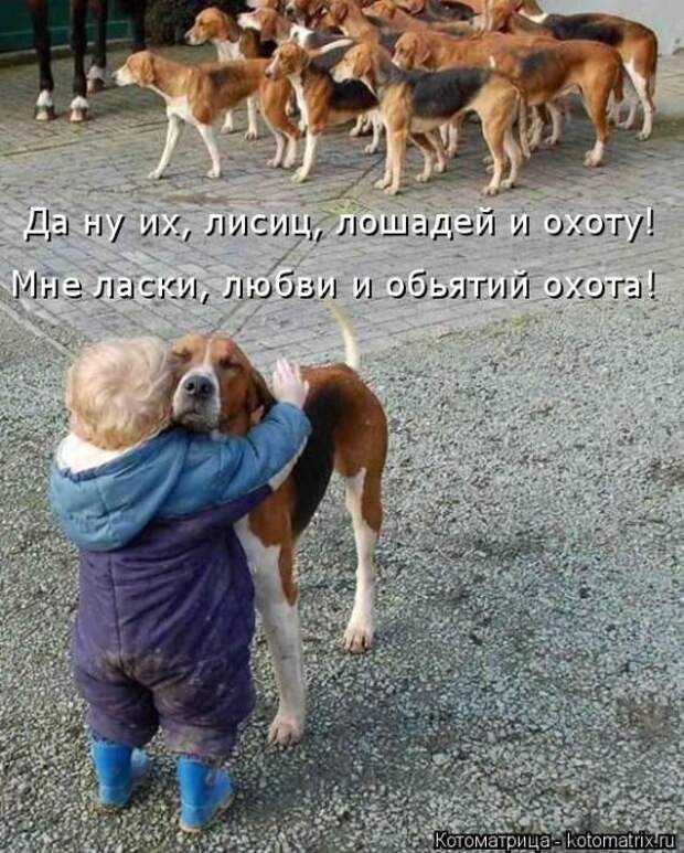 Котоматрицы(картинки с надписями)