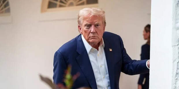 ЗА БАЗАР ОТВЕЧАЕШЬ? ЗА БАЗАР ОТВЕЧАЕШЬ? – Здравствуй, Дональд. – И тебе не хворать, Владимир!