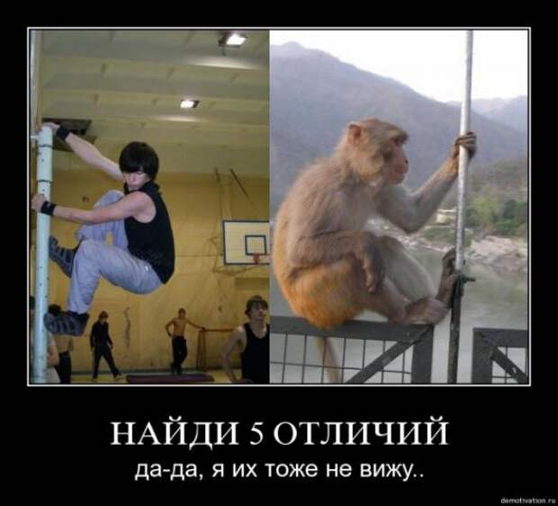 Новая подборка позитивных  демотиваторов 